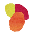 Orange500